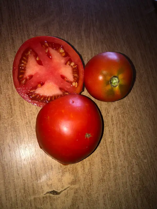 Tomaten: Saint Pierre