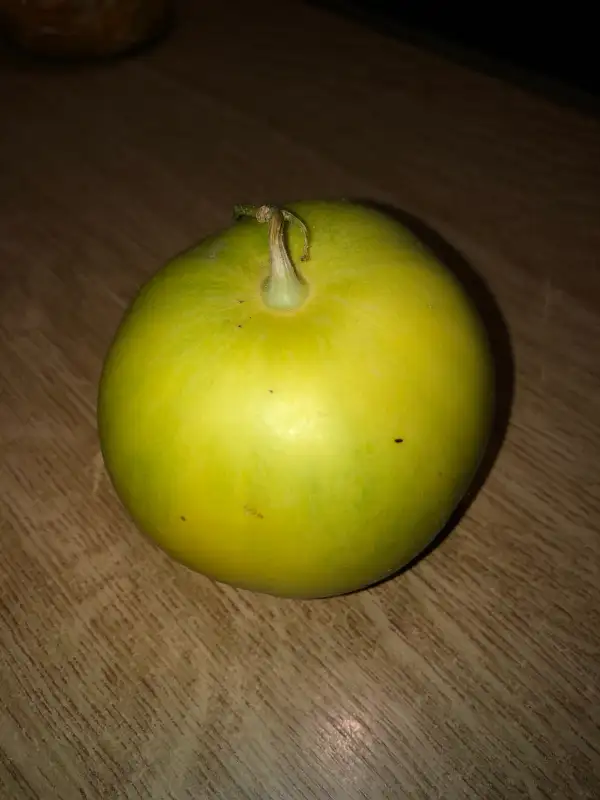 Obst: Sakata