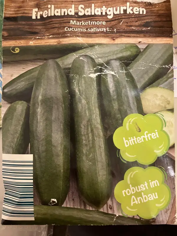 Gurken: Salatgurke Marketmore