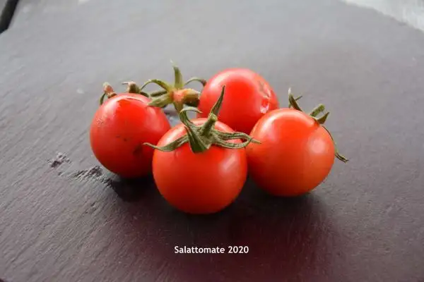 Tomaten: Salattomate 2020