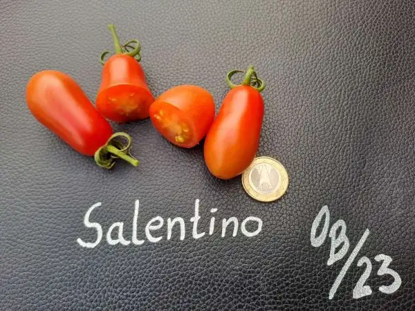 Tomaten: Salentino