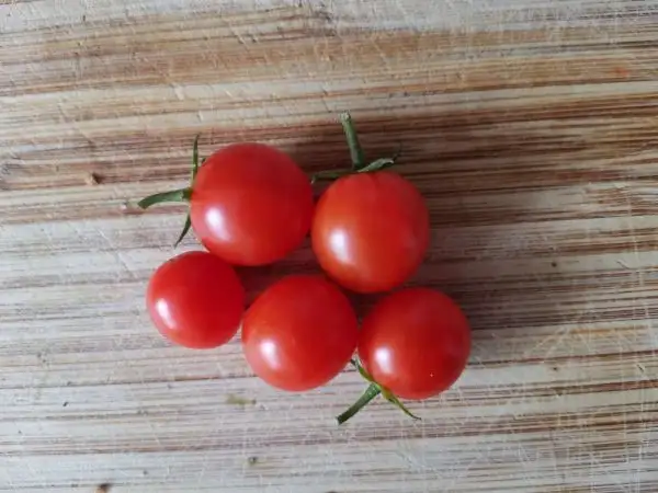 Tomaten: Saltspring Sunrise