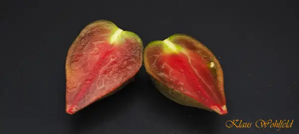 Tomaten: Salut an Victoria