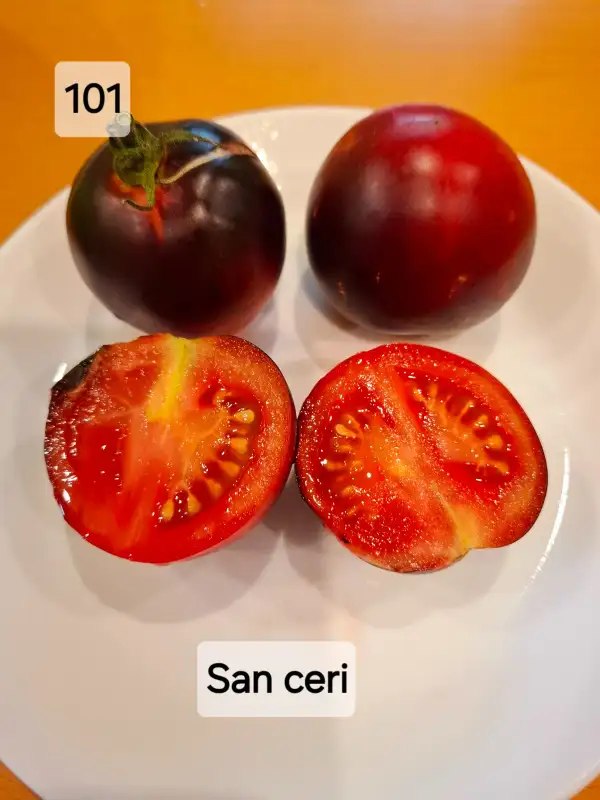 Tomaten: San ceri