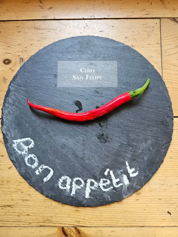 Chili / Paprika: San Felipe