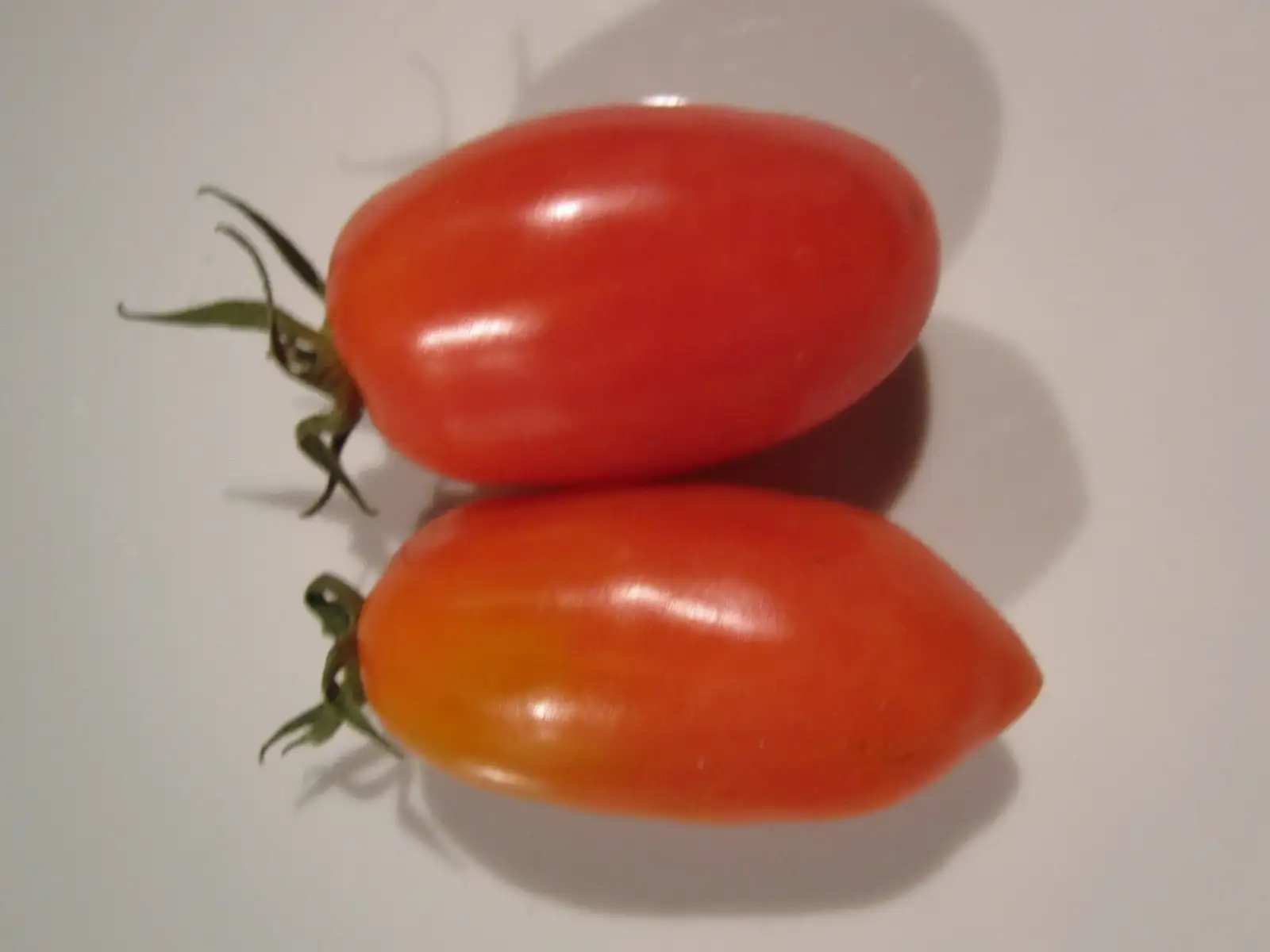 Tomaten: San Marzano