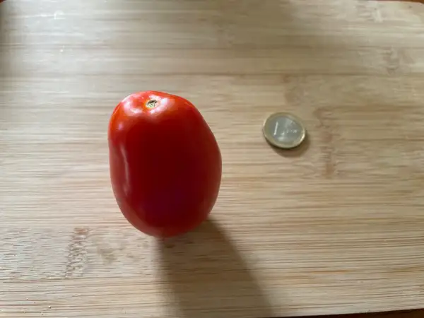 Tomaten: San Marzano