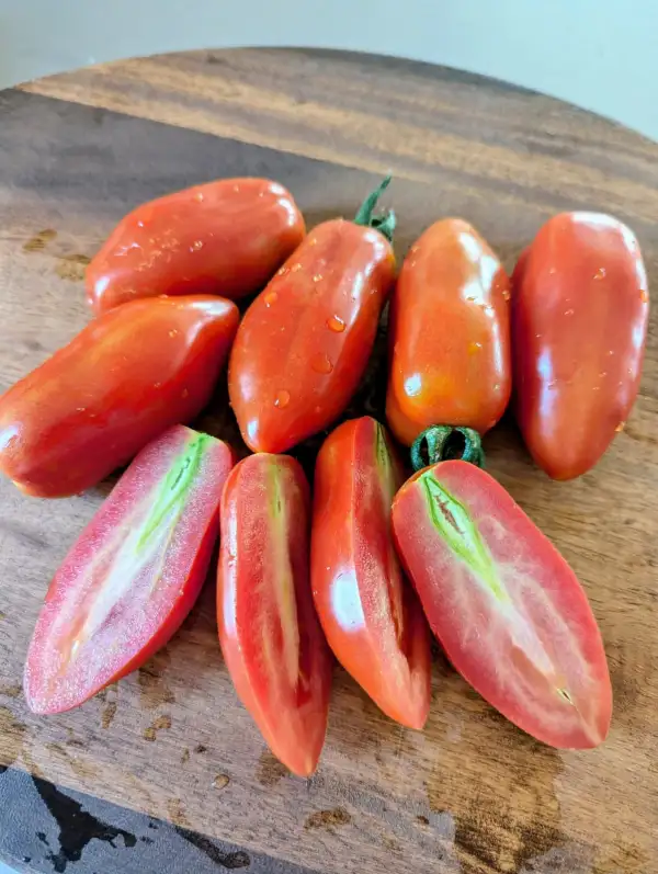 Tomaten: San Marzano