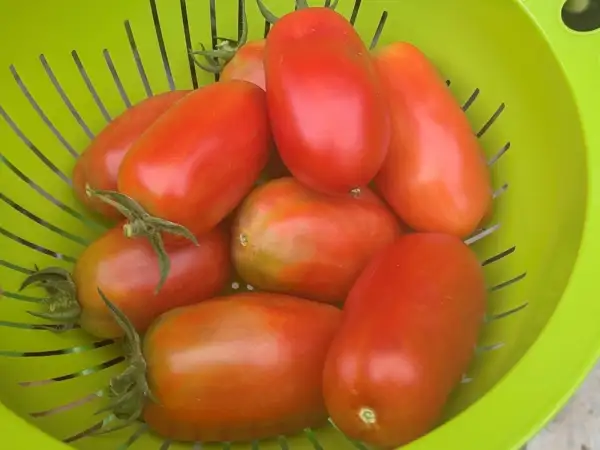 Tomaten: San Marzano | Felix Flaschen Tomate