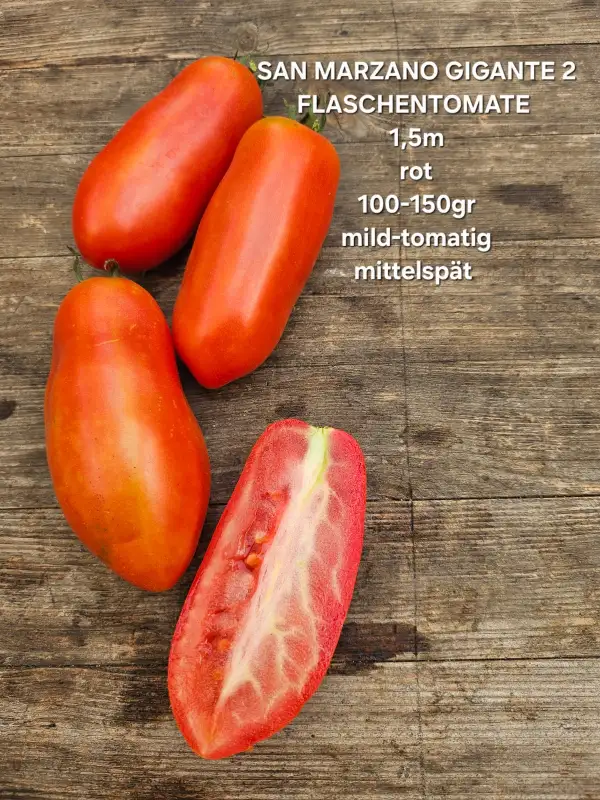 Tomaten: San Marzano Gigante 2