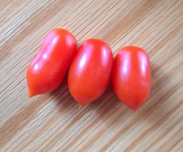 Tomaten: San Marzano Mini