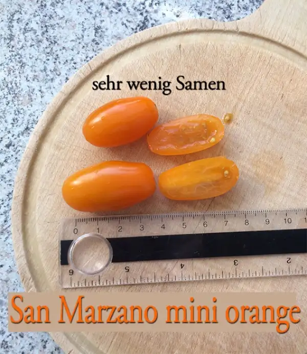 Tomaten: San Marzano Mini orange