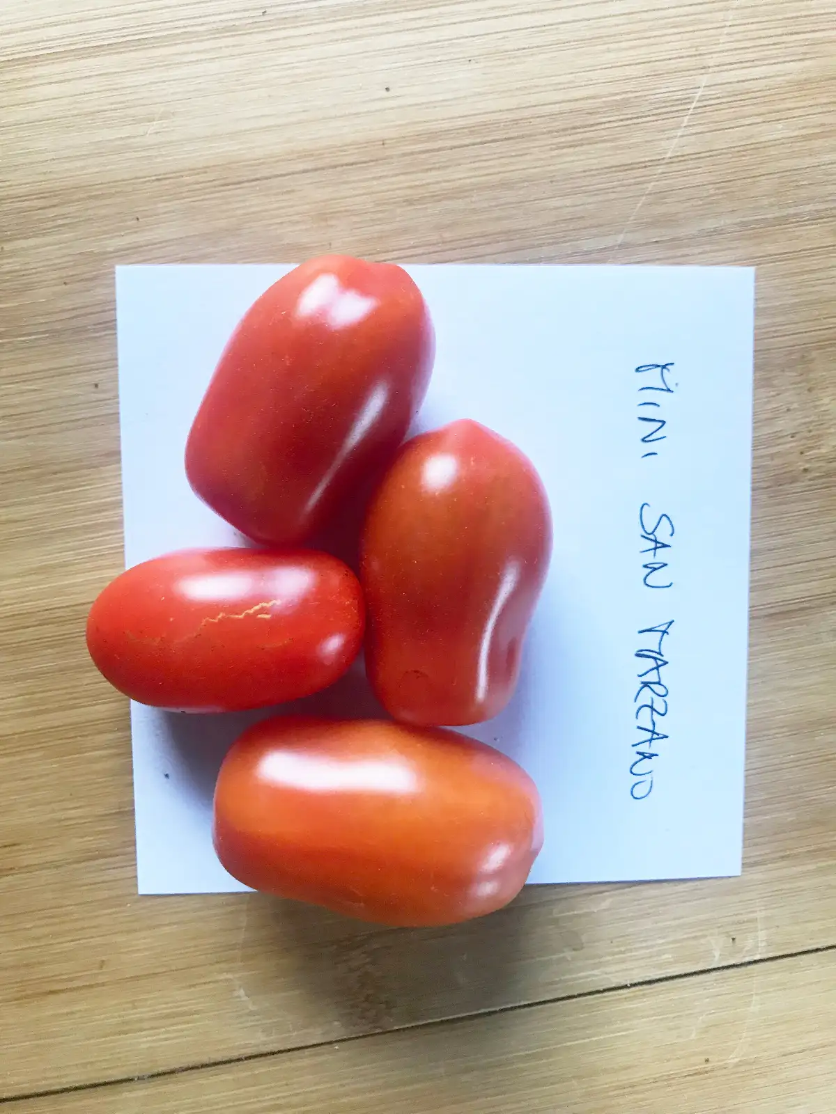 Tomaten: San Marzano Nano