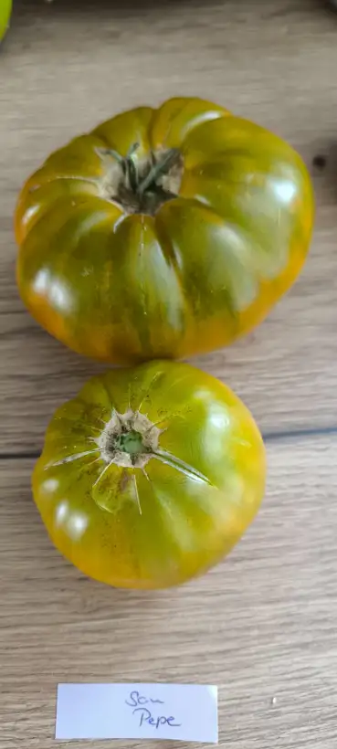 Tomaten: San Pepe