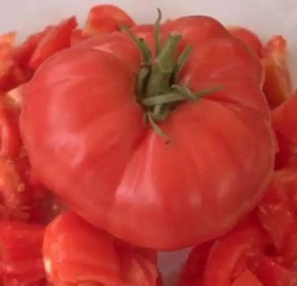 Tomaten: Sandul Moldavan