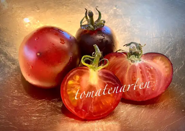 Tomaten: Sandys Little Heart