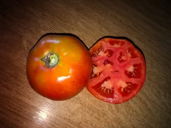 Tomaten: Sang du Québec