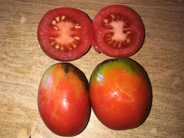 Tomaten: Santa Cruz Kada Gigante