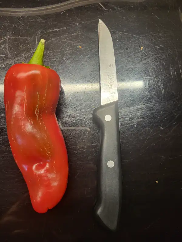 Chili / Paprika: Santa Fe Grande