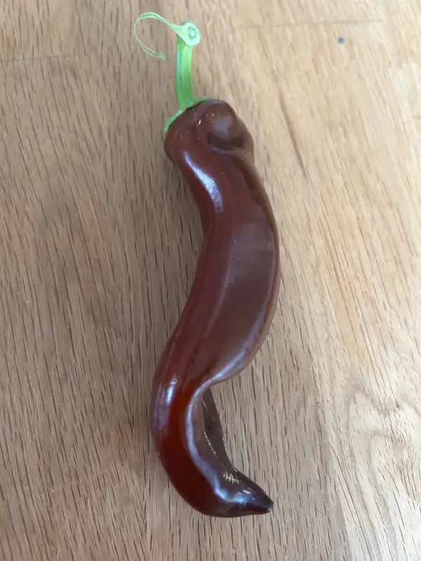 Paprika: Saraga Giant Sweet Chocolate