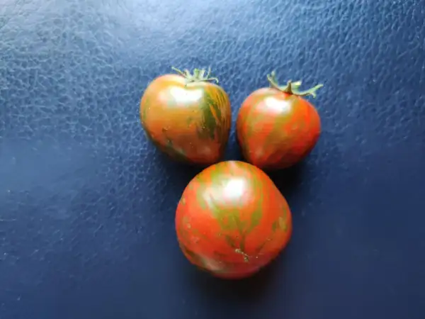 Tomaten: Sarandipity