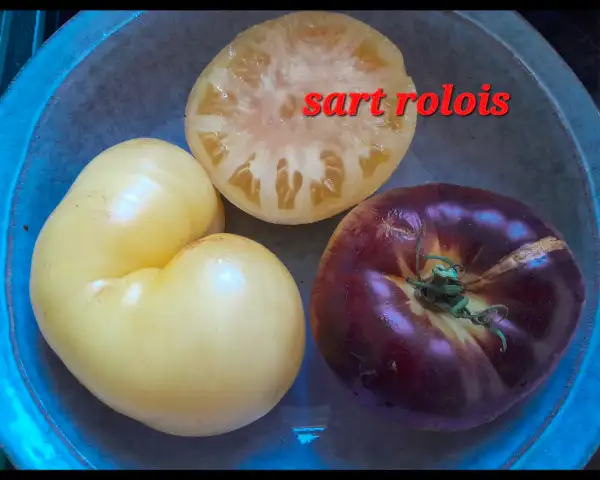Tomaten: Sart Rolois