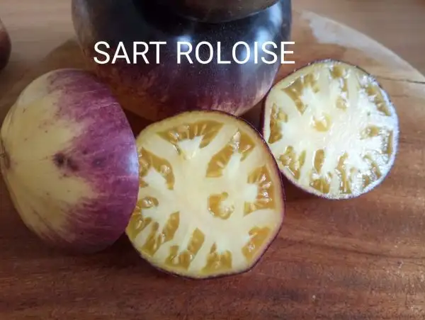 Tomaten: Sart Roloise