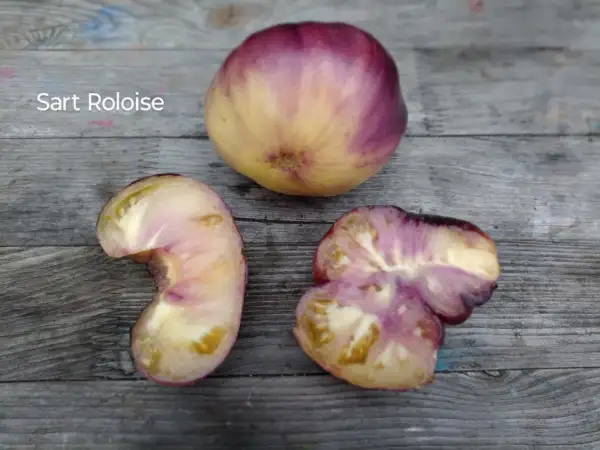 Tomaten: Sart Roloise