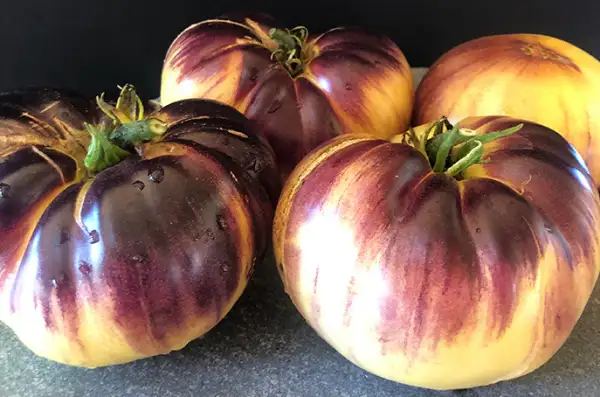 Tomaten: Sart Roloise