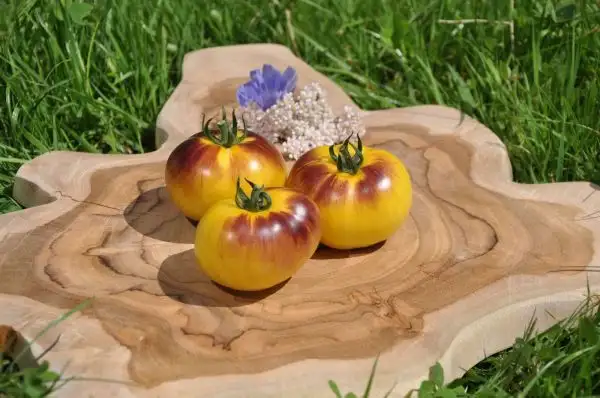 Tomaten: Sart Roloise