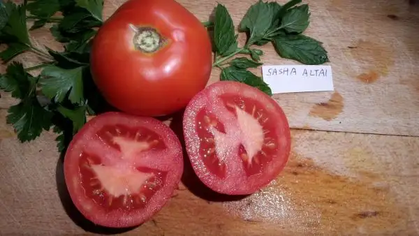 Tomaten: Sasha Altai