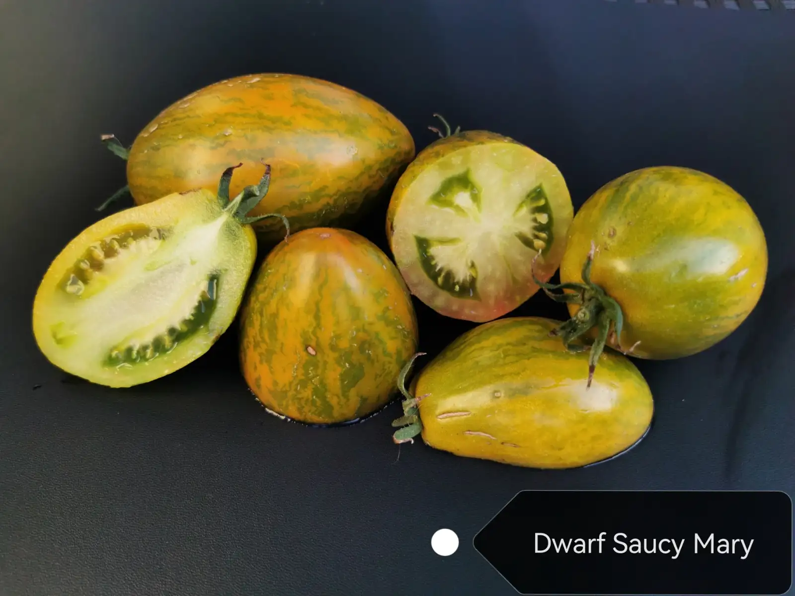 Tomaten: Saucy Mary, Dwarf