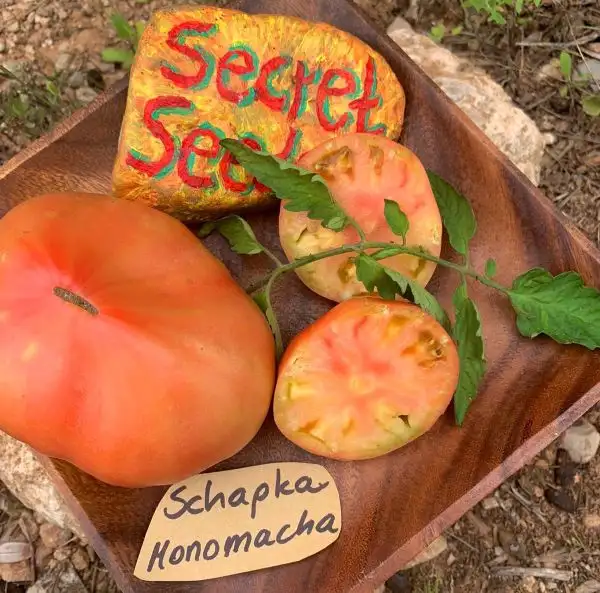 Tomaten: Schapka Monomacha