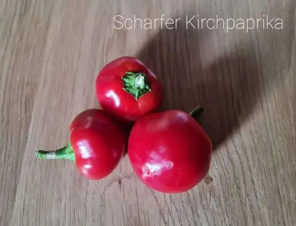 Chili / Paprika: scharfer Kirchpaprika