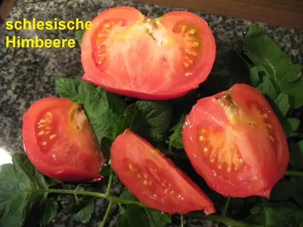 Tomaten: Schlesische Himbeere