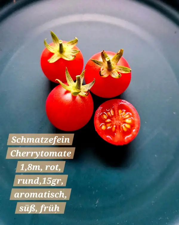 Tomaten: Schmatzefein