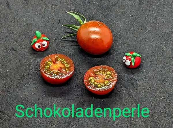 Tomaten: Schokoladenperle