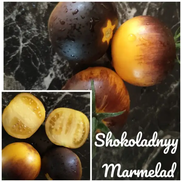 Tomaten: Schokoladny Marmelad