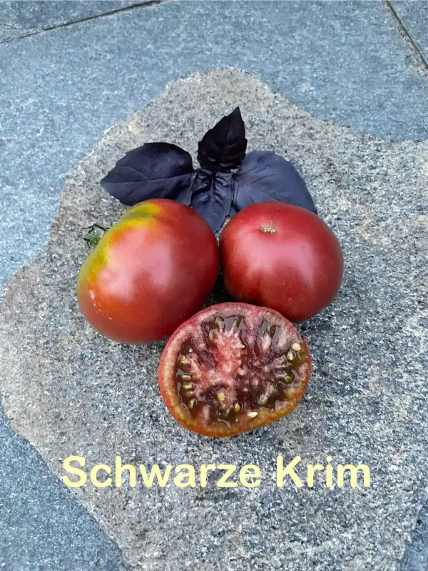 Tomaten: Schwarze / Black Krim