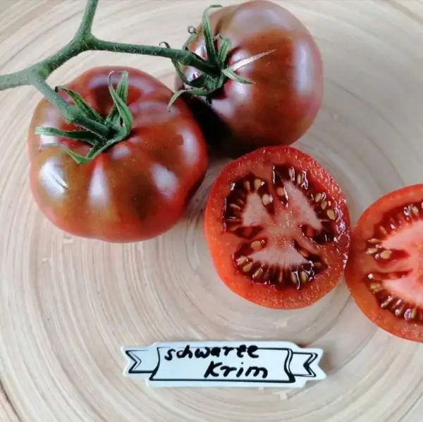Tomaten: Schwarze Krim
