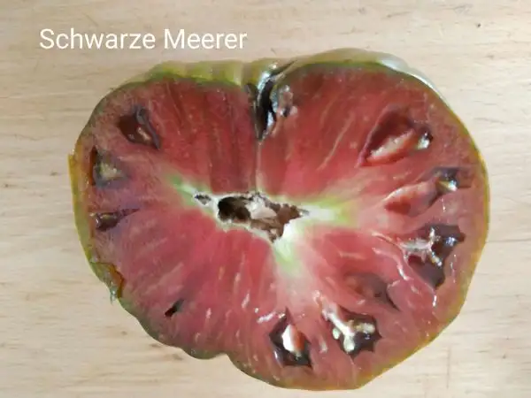 Tomaten: Schwarze Meerer