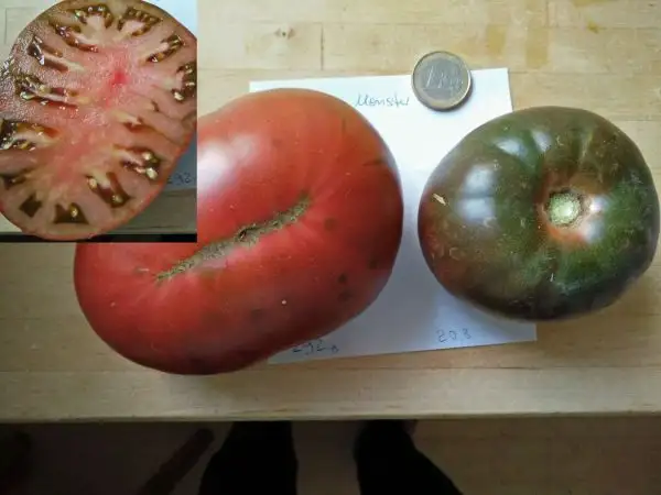 Tomaten: Schwarze Monstertomate (2021)