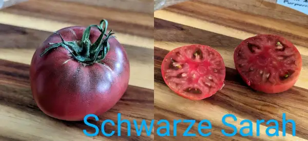 Tomaten: Schwarze Sarah