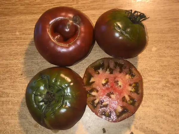 Tomaten: SCHWARZER LOZI