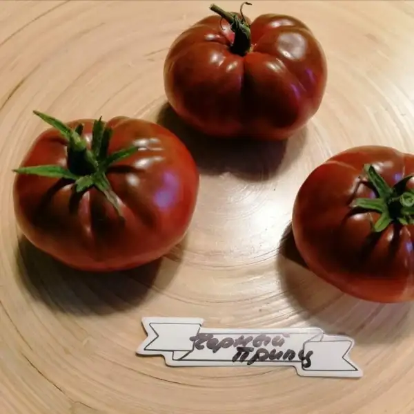 Tomaten: Schwarzer Prinz