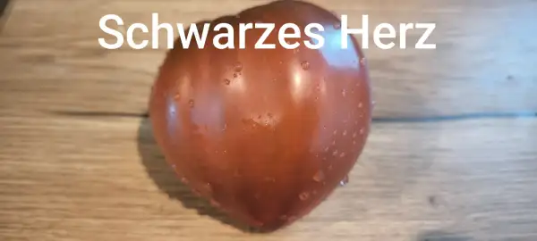 Tomaten: Schwarzes Herz