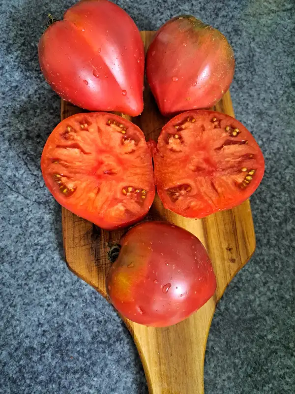 Tomaten: Schwarzes Herz mit Näschen von Borisovna