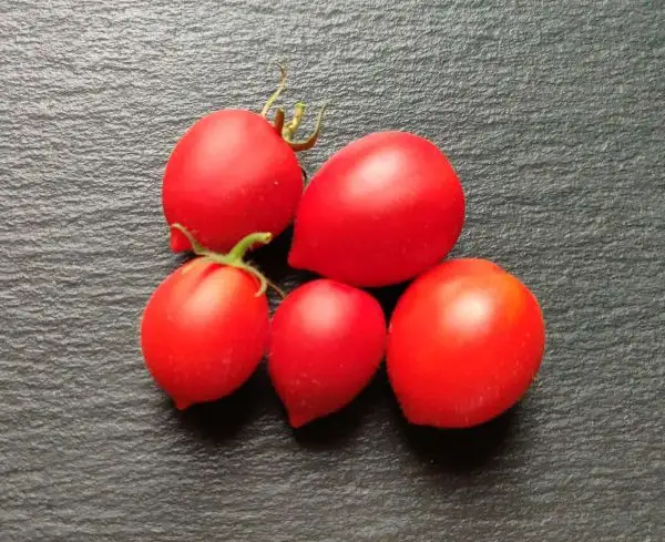 Tomaten: Sel. Fiaschetto