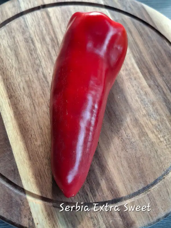 Chili / Paprika: Serbia Extra Sweet