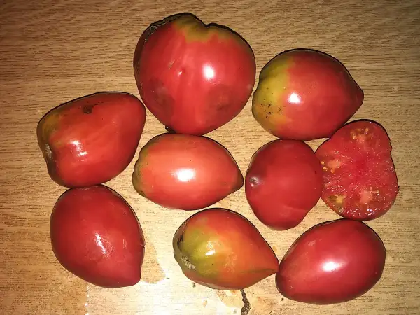 Tomaten: Serbian Oxheart